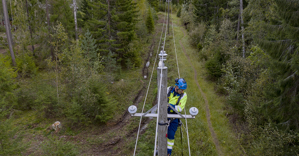 Asentaja sähkölinjatolpassa korjaustöitä tekemässä. Taustalla näkyy metsässä kaatuneita puita.